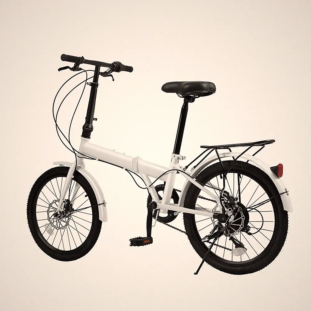 9 Speeds Folding Bike