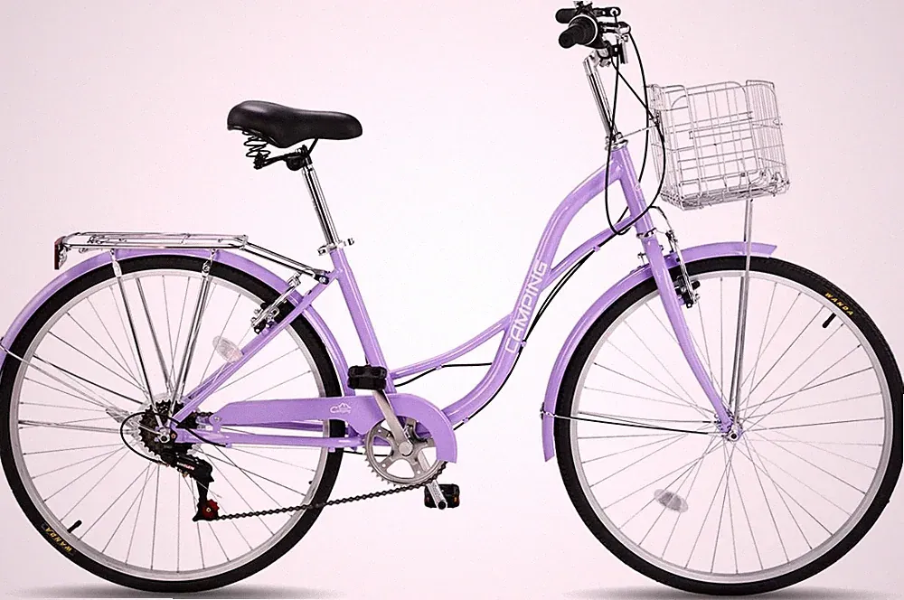 9 Speeds Comfort Bike