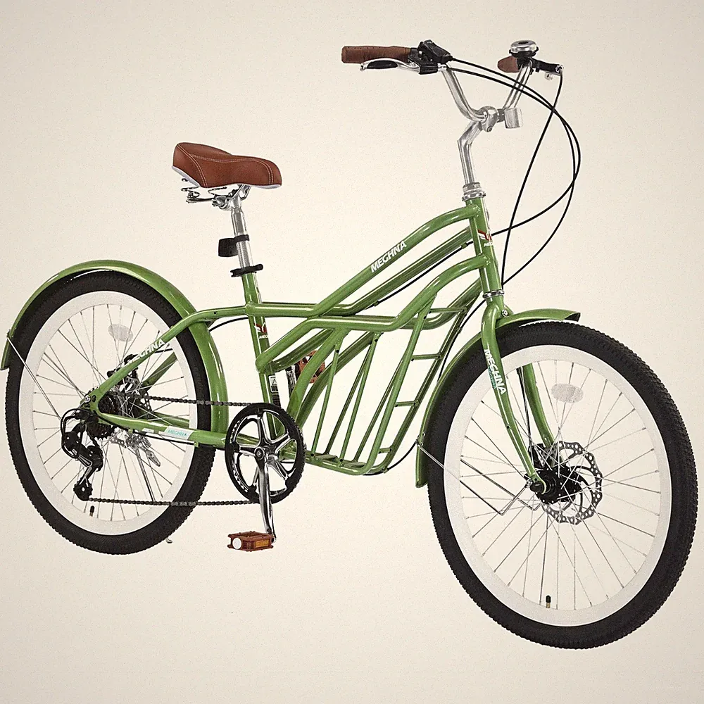 MEGHNA 6 Speed, Steel Frame, 24 Inch bike,Commuter Bike for Adults ,Green Garden